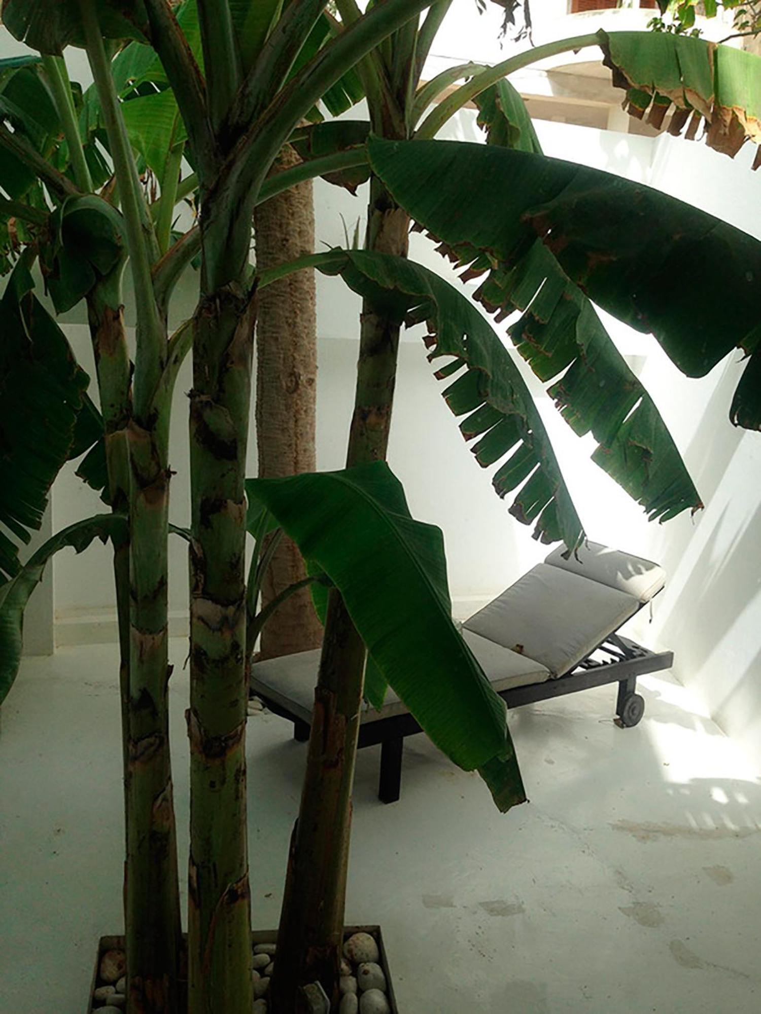 Casa Branca Hotel Mindelo Luaran gambar